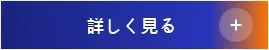 詳しく見る